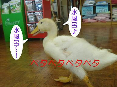 d34aa794.jpeg