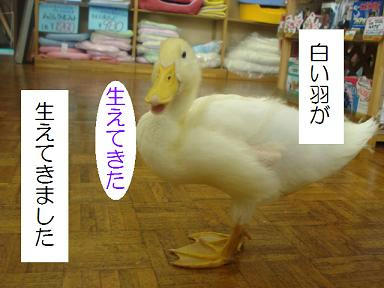 DSC01455.JPG