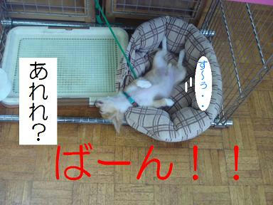 DSC01694.JPG