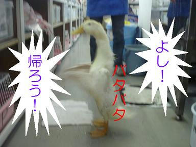 DSC01729.JPG
