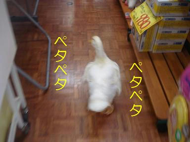 DSC01733.JPG
