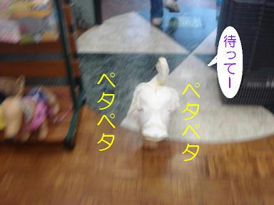 DSC01734.JPG