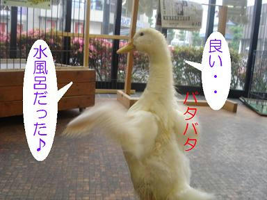 DSC01738.JPG