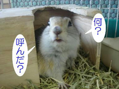DSC01759.JPG