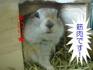 DSC01764.JPG