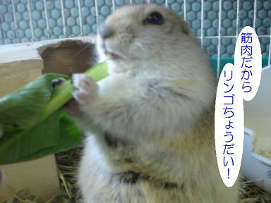 DSC01765.JPG