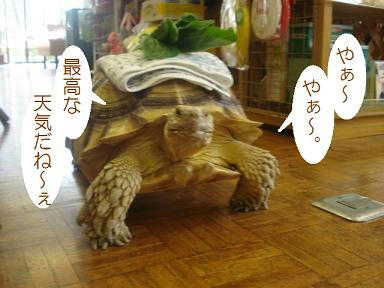 DSC01778.JPG