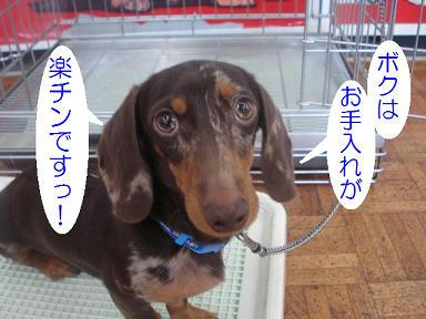 DSC01880.JPG