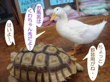 DSC01902.JPG