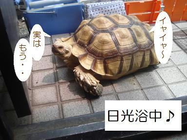 DSC01921.JPG