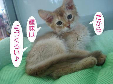 DSC01959.JPG