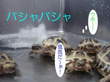 DSC02000.JPG