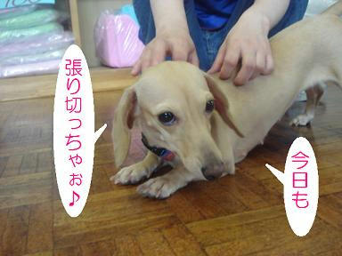 DSC02132.JPG