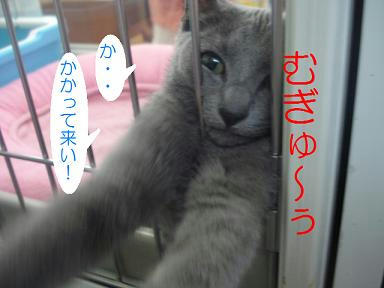 DSC02188.JPG