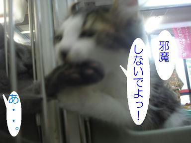 DSC02203.JPG