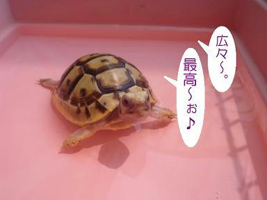 DSC02359.JPG