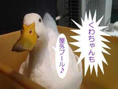 DSC02370.JPG