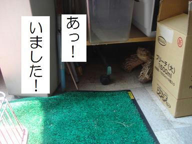 DSC02403.JPG