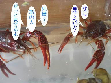 DSC02417.JPG