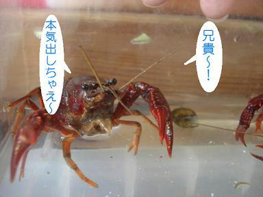 DSC02425.JPG
