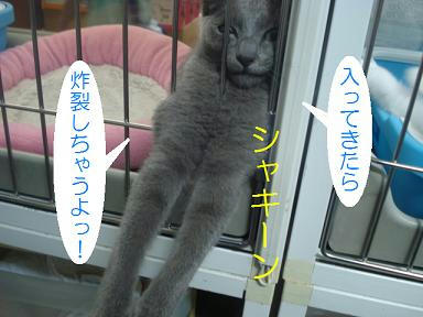 DSC02472.JPG