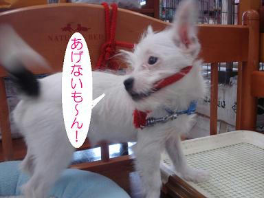 DSC02630.JPG