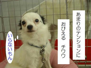 DSC02670.JPG
