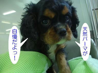 DSC02695.JPG
