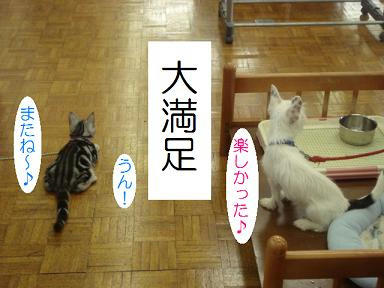 DSC02755.JPG