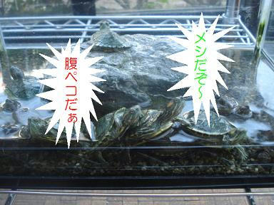 DSC02947.JPG