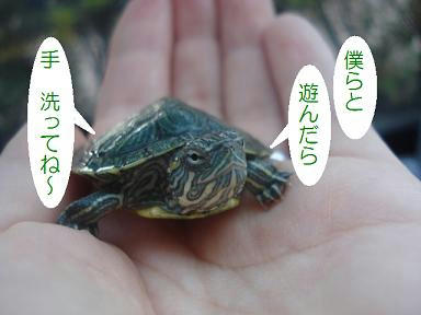 DSC02954.JPG