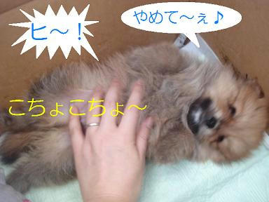 DSC03043.JPG