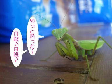 DSC03207.JPG