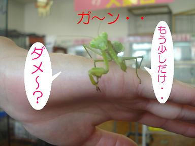 DSC03219.JPG