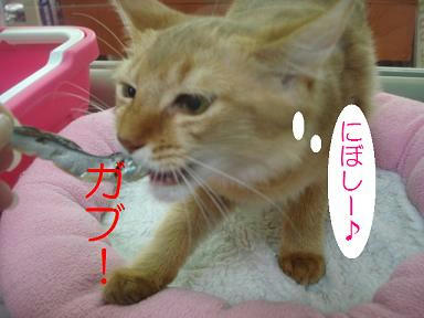 DSC03272.JPG