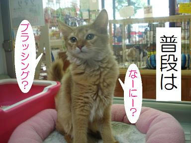DSC03264.JPG