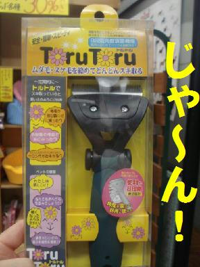 DSC03385.JPG