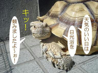 DSC03667.JPG