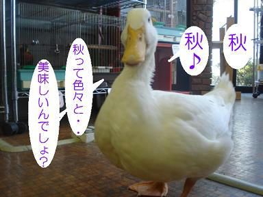 DSC03657.JPG