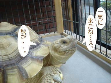 DSC03736.JPG