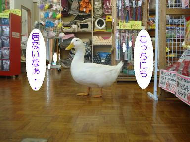 DSC03847.JPG