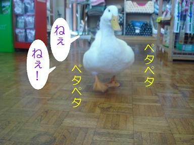 DSC03839.JPG