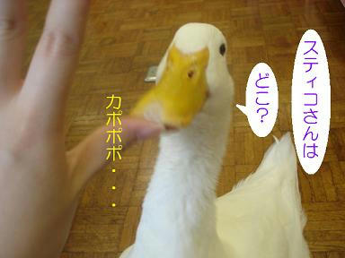 DSC03840.JPG