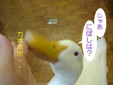 DSC03842.JPG