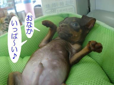 DSC03785.JPG