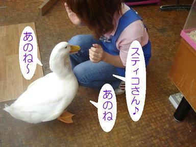 DSC03925.JPG