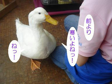 DSC03931.JPG