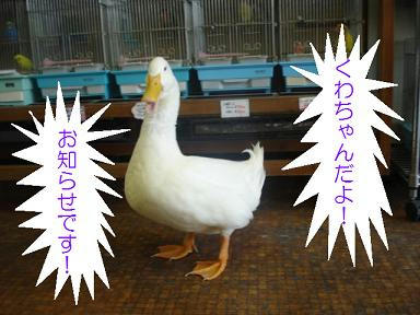 DSC04028.JPG
