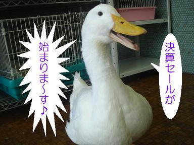 273a2d53.jpeg