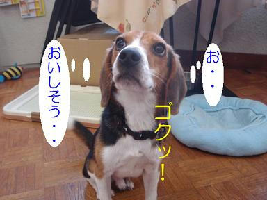 DSC04232.JPG